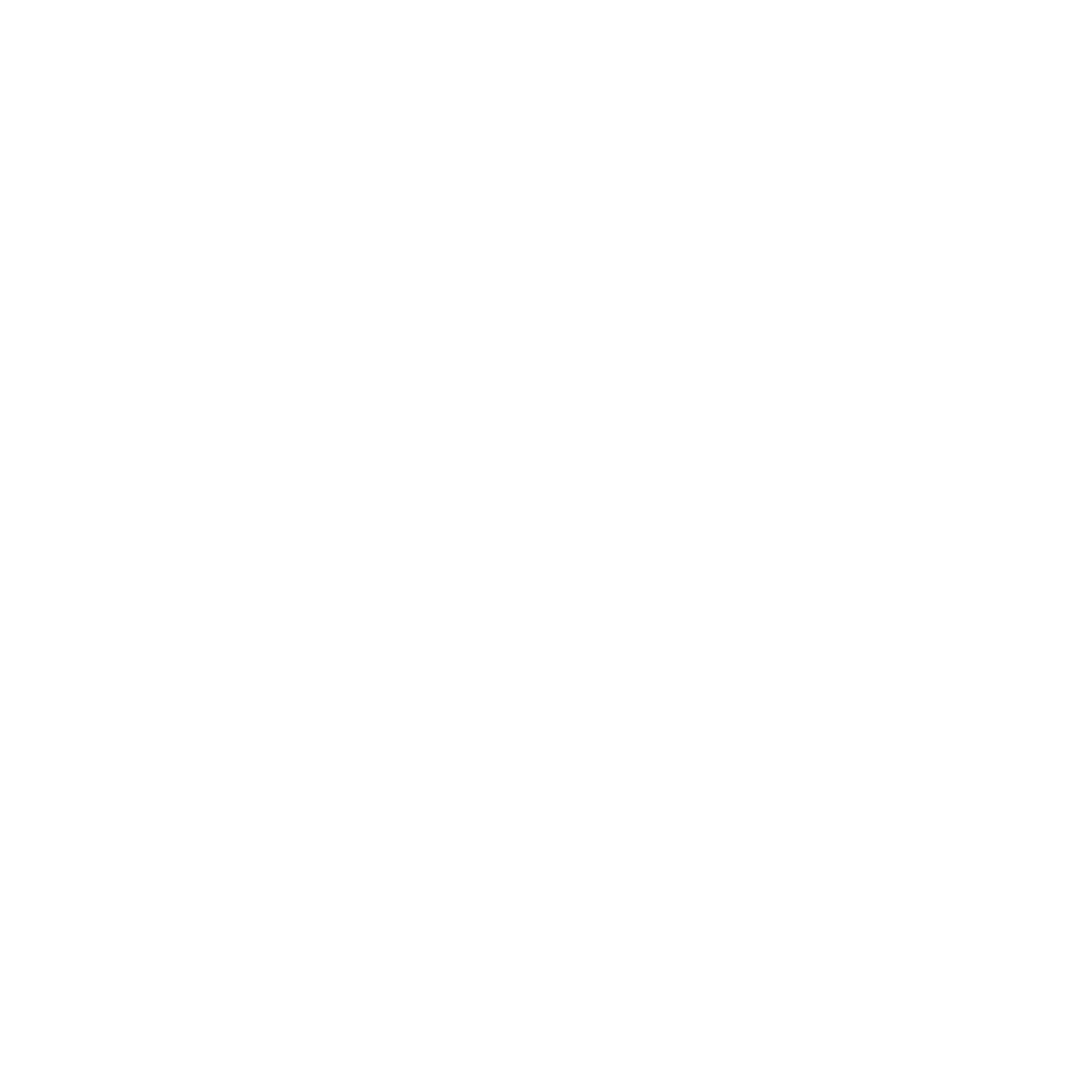 Zillenial Action